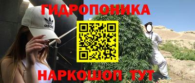ГАЛЛЮЦИНОГЕННЫЕ ГРИБЫ Кулебаки