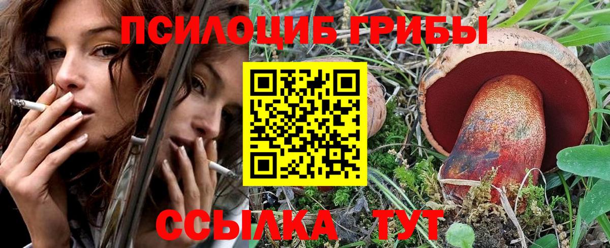 Галлюциногенные грибы Cubensis Ижевск
