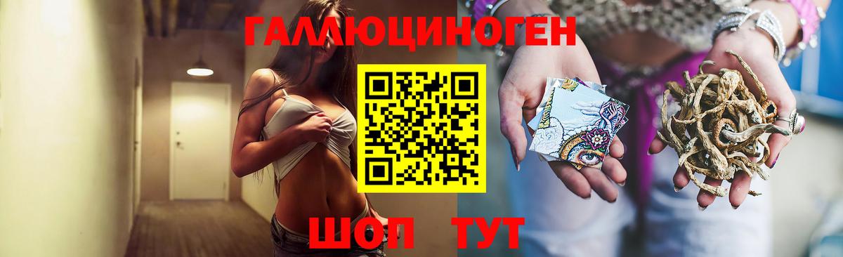 Ижевск  Псилоцибиновые грибы ЛСД  Вход с VPN 